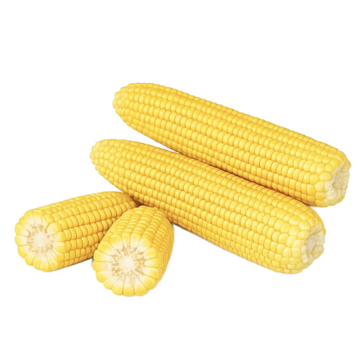 Кукурудза Добриня F1 — ранній солодкий гібрид із великими качанами