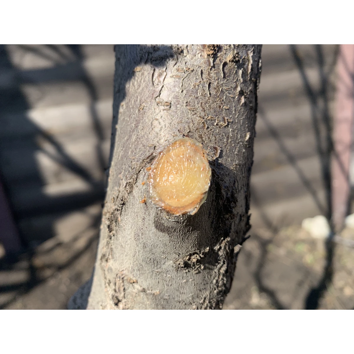 После нанесения