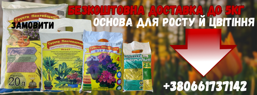 грунт