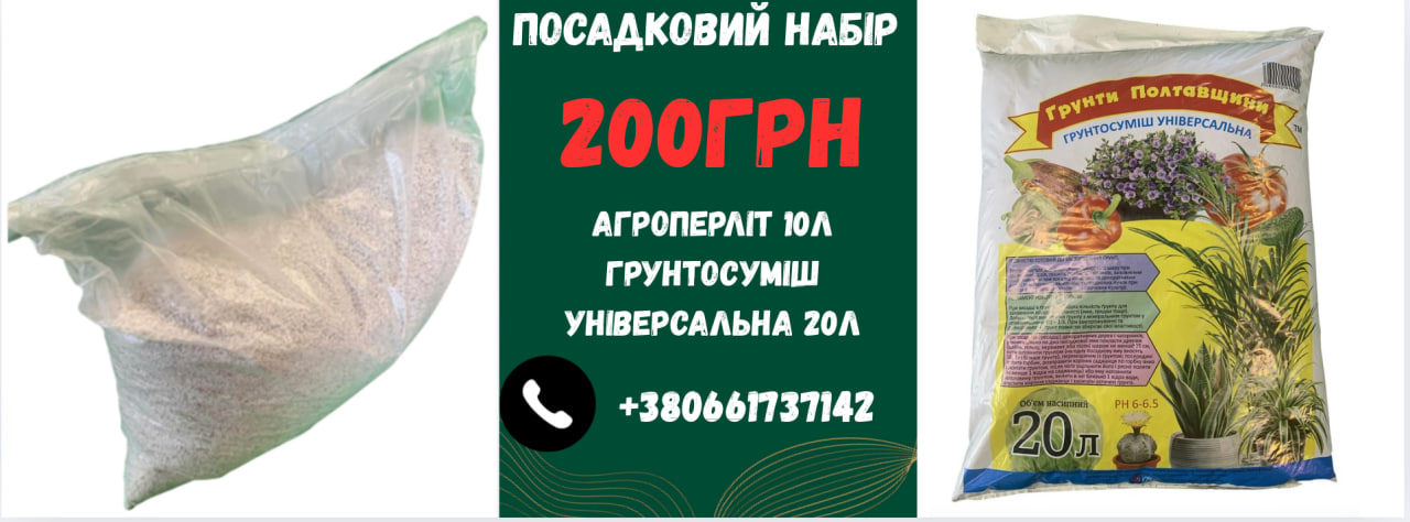 Промо набор